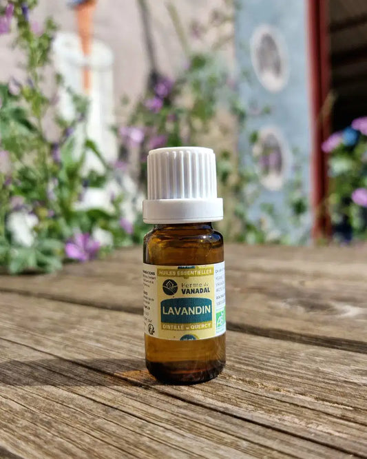 Huile Essentielle de Lavandin Super – 10 ml
